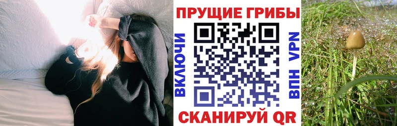 Галлюциногенные грибы прущие грибы  MEGA ссылка  Бобров 